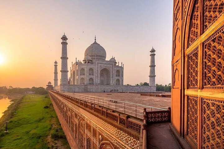 Golden Triangle with Magnificent Indian Wildlife