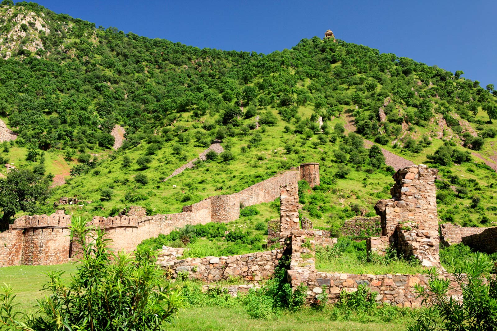 Haunted Place Bhangarh Fort with Ranthambore National Park Tour