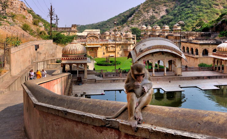Jaipur Fort And Palace Tour Packages