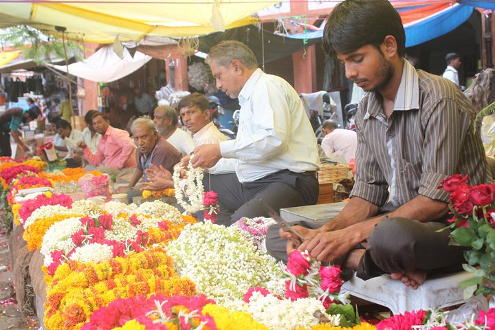 Jaipur Morning City Tour Experience