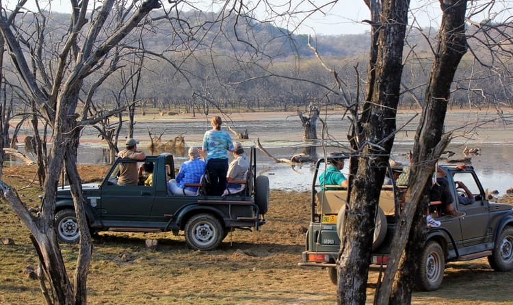 Golden Triangle with Magnificent Indian Wildlife