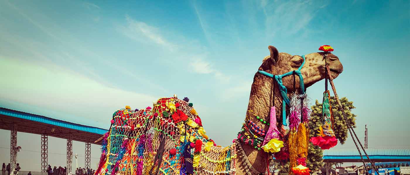 One Day Trip to Ajmer & Pushkar from Jaipur