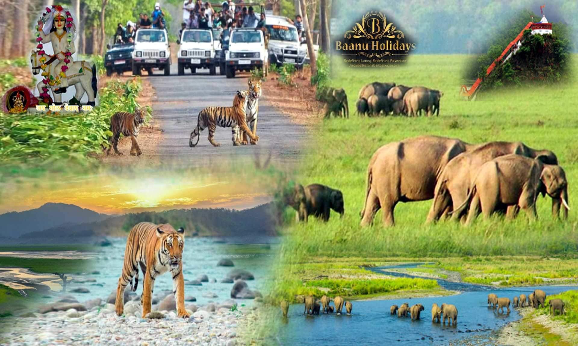 Delhi Haridwar Rishikesh Jim Corbett National Park Nainital Ranikhet Tour Package