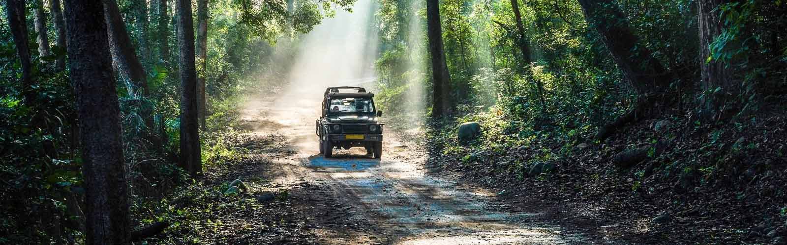 Jim Corbett National Park Safari