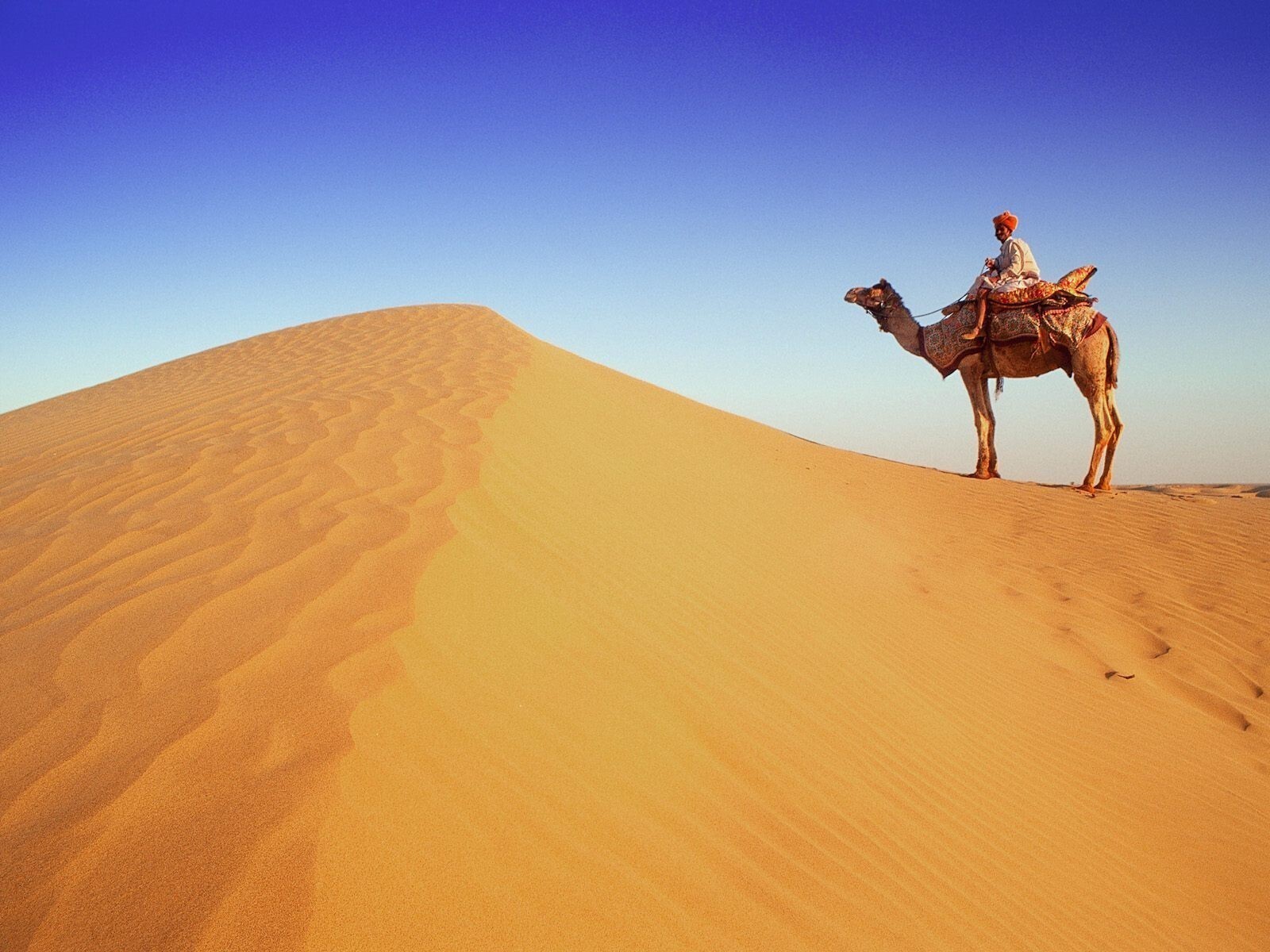 Jaisalmer Desert Safari