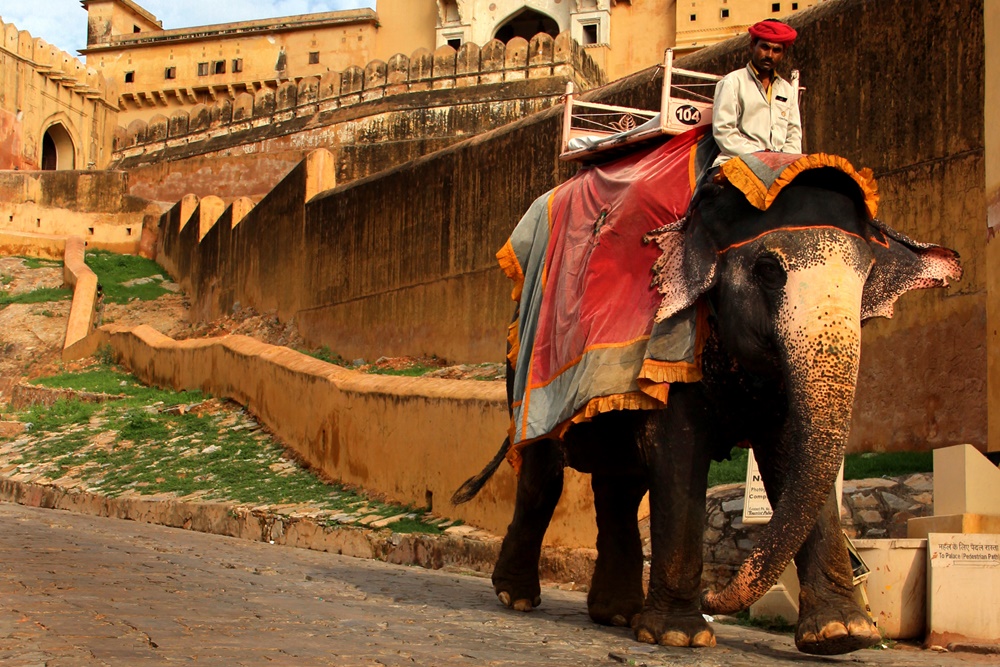 Rajasthan Tour Packages from Italy