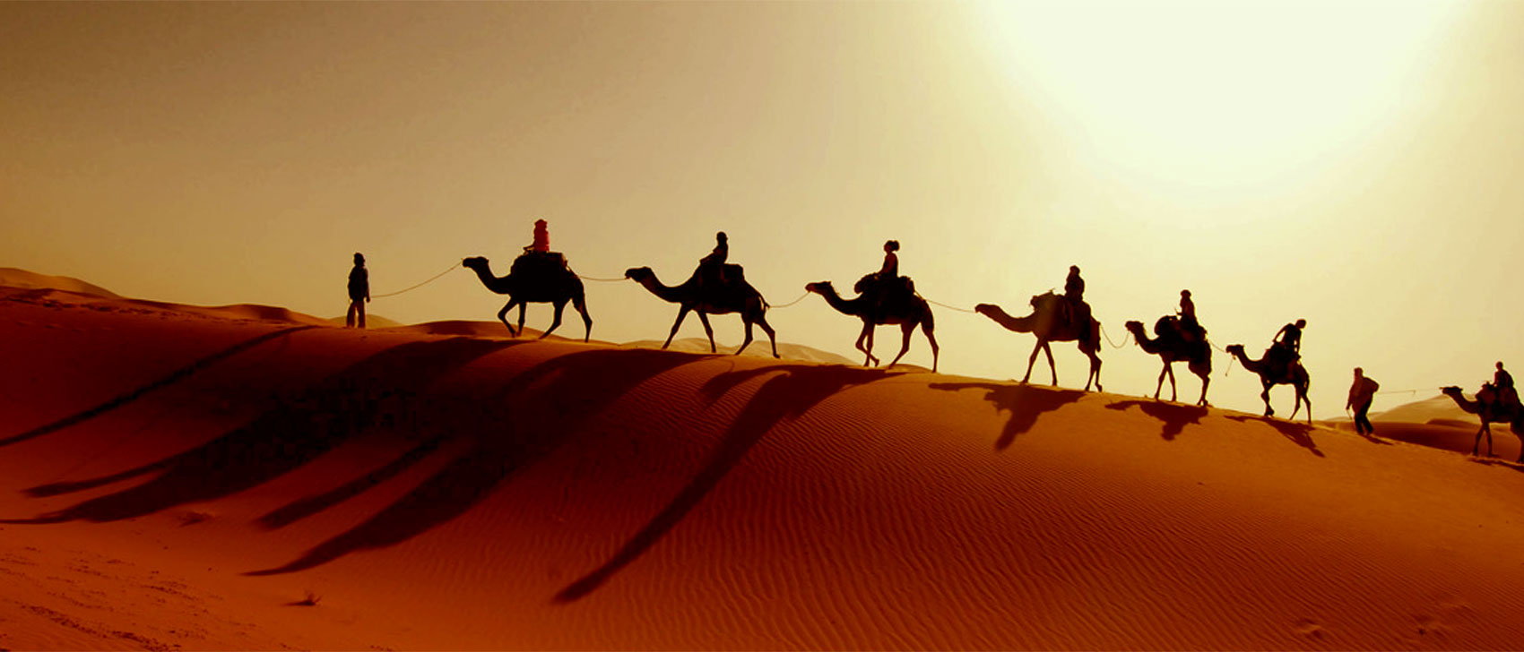 Rajasthan Tour Packages from Canada