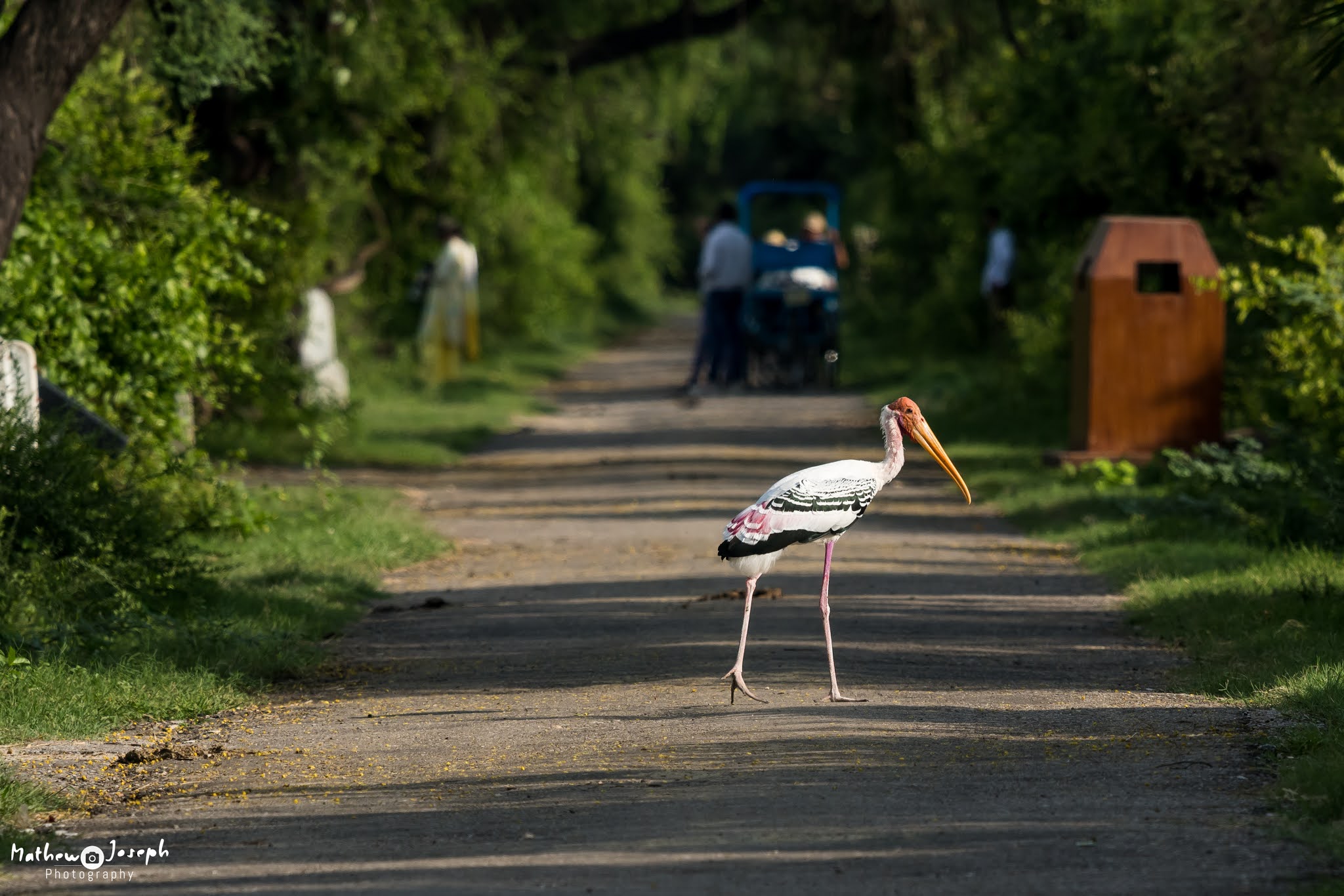 Bharatpur