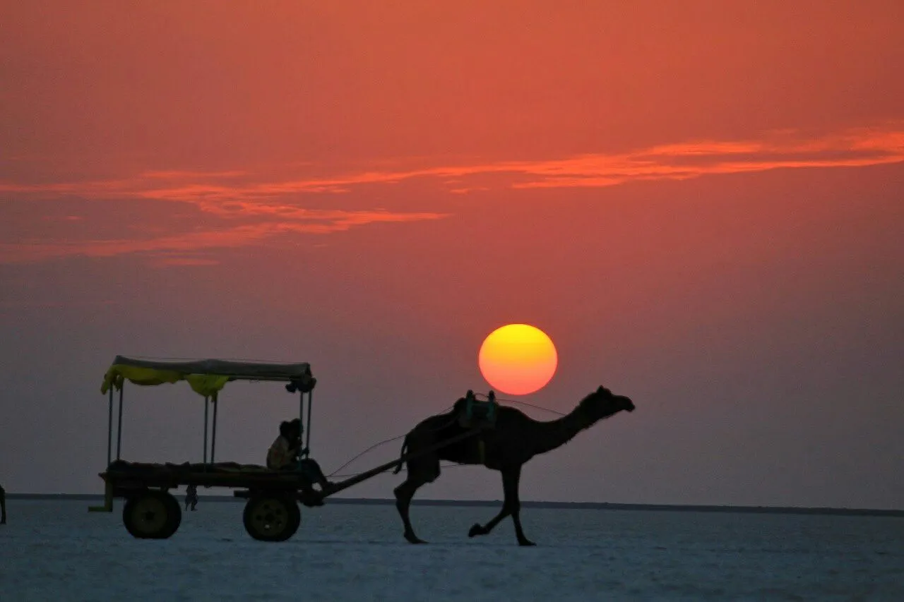 4 Nights 5 Days Rajasthan Packages