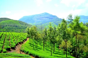 Weekend Getaways - Top Places for Short Trips in India